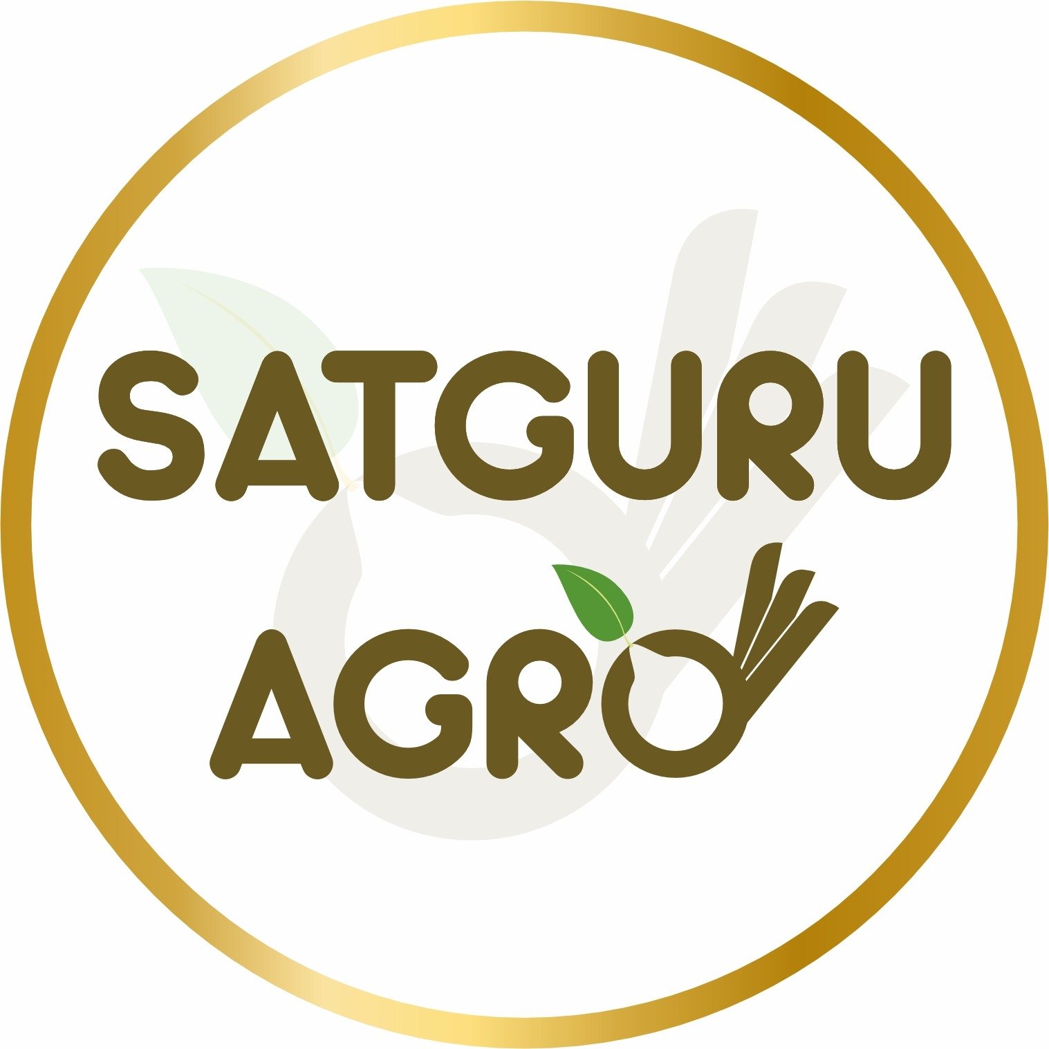 WhatsApp Image 2026-02-08 at 1.28.10 PM